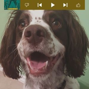 Meet your Posher, Tammy